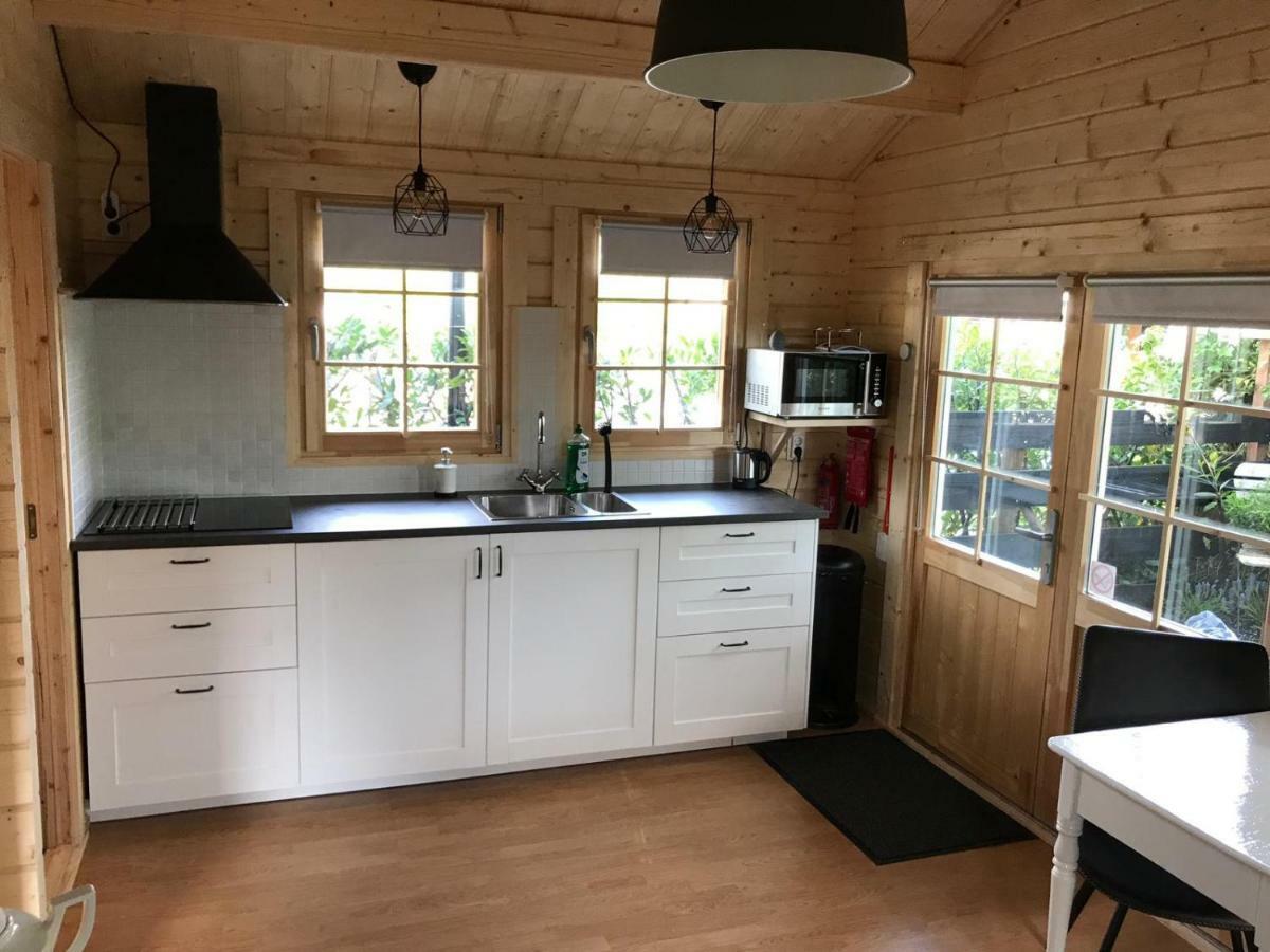 C'Est La Vie Villa Wanneperveen Bagian luar foto